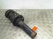 Federbein Rechts Hinten Porsche Boxster (986) Cabrio 2.5 24V (M96.20) 1997-07