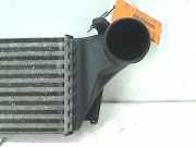 Ladeluftkühler PA66GF33 BMW X5 (E53) SUV 3.0d 24V (M57-D30(306D1)) 2002-03