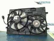 Kühlerventilator 6q0959455ah3q0121207 Seat Leon ST (5FF) Kombi 5-drs 2.0 TSI Cupra 280 16V (CJXA) 2014-07