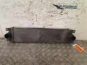 Ladeluftkühler Nissan Interstar (X70) Van 2.5 dCi 16V Euro III (G9U-720) 2002-12