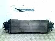 Ladeluftkühler Nissan Primastar Van 1.9 dCi 80 (F9Q-762) 2003-07