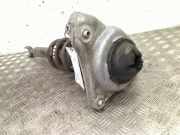 Federbein Rechts Vorne Audi A6 Avant (C6) Kombi 2.0 TDI 16V (BNA) 2010-02