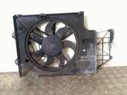 K?hlerventilator 0130303290 Volkswagen Transporter T5 Van 2.5 TDi (BNZ) 2007-08 BNZ