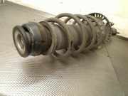 Federbein Rechts Vorne 6C0413031AN Skoda Fabia III (NJ3) Schr?gheck 5-drs 1.0 TSI 12V (CHZB) 2017-12