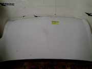 Motorhaube Renault Master II (FD/HD) Van 2.5 dCi 120 FAP (G9U-650) 2010-09