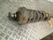 Federbein Rechts Vorne Opel Vivaro Van 1.9 DI (F9Q-762) 2005-03