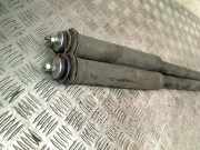 Stoßdämpferset Hinten Citroën C1 Schrägheck 1.0 12V (1KR-FE(CFB)) 2008-10