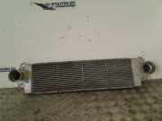 Ladeluftkühler Volkswagen Multivan T5 (7E/7HC/7HF/7HM) Großraumlimousine 1.9 TDi (BRS) 2008-02 BRS