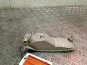 Blinker Links Fiat Punto Evo (199) Schrägheck 1.3 JTD Multijet 85 16V (199.B.4000(Euro 5)) 2012-04