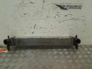 Ladeluftk?hler R4642004 Seat Ibiza IV (6J5) Schr?gheck 5-drs 1.2 TDI Ecomotive (CFWA) 2011-03