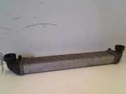 Ladeluftkühler A1695000000 Mercedes-Benz A (W169) Schrägheck 2.0 A-160 CDI 16V (OM640.942) 2007-08