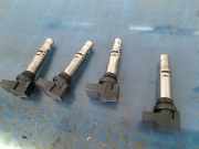 Zündspule 0040102030 0040102030 Volkswagen Golf V (1K1) Schrägheck 1.4 FSI 16V (BKG) 2004-07 BKG