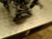 Getriebe Manuell EMR Volkswagen Golf IV (1J1) Schrägheck 2.0 (APK) 1999-06 APK