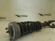 Federbein Links Vorne 14941510 BMW X5 (E70) SUV 3.0d 24V (M57N2-D30(306D3)) 2007-11