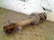 Federbein Links Vorne Fiat Ducato (250) Bus 2.2 D 100 Multijet Euro 4 (P22DTE(4HV)) 2009-05