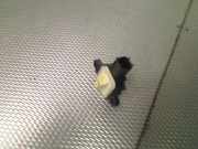 Sensor Verscheidenes 30798030 Volvo XC60 I (DZ) SUV 2.0 D3 20V (D5204T7) 2012-11