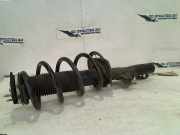 Federbein Rechts Vorne FK2118045AA Ford Transit Custom Van 2.0 TDCi 16V Eco Blue 105 (YLFS) 2016-10