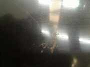 Kotflügel Links Vorne Alfa Romeo 159 Sportwagon (939BX) Kombi 1.9 JTDm (939.A.1000(Euro 4)) 2009-03