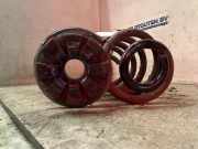 Schraubenfeder Set Hinten Renault Zoé (AG) Schrägheck 5-drs 65kW (5AM-450(5AM-B4)) 2014-11