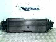 Ladeluftkühler 91166035 Opel Vivaro Van 1.9 DI (F9Q-762) 2002-06