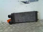 Ladeluftk?hler 876923JE Peugeot 307 SW (3H) Kombi 1.6 HDiF 110 16V (DV6TED4(9HZ)) 2006-01