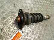 Federbein Links Hinten Mini Mini Open (R52) Cabrio 1.6 16V One (W10-B16A) 2004-12