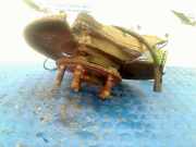 Achsschenkel Links Vorne Opel Insignia Sports Tourer Kombi 2.0 CDTI 16V 130 ecoFLEX (A20DTH(Euro 5)) 2009-06