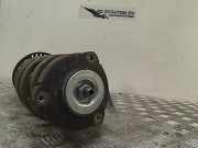 Federbein Links Vorne 0413031BJ Skoda Roomster (5J) Großraumlimousine 1.4 16V (BXW) 2009-06