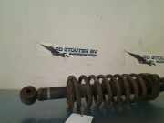 Federbein Rechts Hinten 4162A338 Mitsubishi Outlander (GF/GG) SUV 2.0 16V PHEV 4x4 (4B11) 2014-07