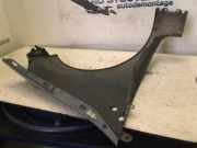 Kotfl?gel Links Vorne Renault Clio III (BR/CR) Schr?gheck 1.6 16V (K4M-800(Euro 4)) 2007-01