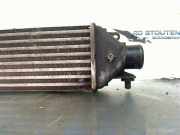 Ladeluftkühler 866455500 Fiat Bravo (198A) Schrägheck 1.6 JTD Multijet 105 (198.A.3000) 2008-08