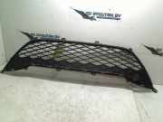 Grill Hyundai i10 (F5) Schrägheck 1.2i 16V (G4LA5) 2012-02