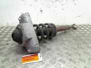 Federbein Links Vorne Audi A6 Avant (C6) Kombi 3.0 TDI V6 24V Quattro (BMK) 2005-04