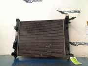 Radiator 214100078R Dacia Lodgy (JS/SD0J) Großraumlimousine 1.2 TCE 16V (H5F-402(H5F-C4)) 2013-03