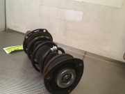 Federbein Links Vorne 2Q0413031BT Volkswagen Polo VI (AW1) Schr?gheck 5-drs 1.0 TSI 12V (DLAA) 2021-11 DLAA