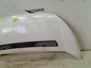 Motorhaube Fiat Scudo (270) Van 1.6 D Multijet (DV6UTED4(9HU)) 2007