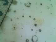 Kraftstoffpumpe 1019620391 Mazda 5 (CR19) Großraumlimousine 1.8i 16V (L823) 2007-07