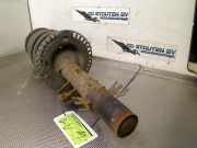 Federbein Links Vorne Volkswagen Transporter T5 Van 2.0 TDI BlueMotion (CAAD(Euro 5)) 2013-07 CAAD(Euro 5)