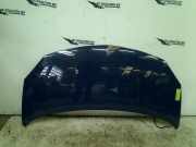 Motorhaube Renault Twingo II (CN) Schrägheck 3-drs 1.2 (D7F-800(Euro 4)) 2008-02