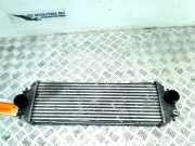 Ladeluftkühler Nissan Primastar Bus 1.9 dCi 80 (F9Q-762) 2004-07