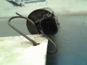 Scheibenwaschpumpe 1019873 Volvo V40 (MV) Schrägheck 5-drs 1.6 D2 (D4162T) 2013-12