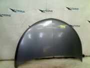 Motorhaube Lancia Ypsilon (312) Schrägheck 0.9 TwinAir 85 (312.A.2000(Euro 5)) 2011-12