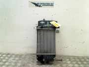 Ladeluftk?hler JD12700000620 Toyota Yaris II (P9) Schr?gheck 1.4 D-4D (1NDTV) 2007-08