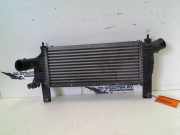 Ladeluftkühler Nissan Navara (D40) Pick-up 2.5 dCi 16V 4x4 (YD25DDTi) 2009-08