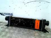 Ladeluftkühler Mercedes-Benz A (W168) Schrägheck 1.7 A-170 CDI 16V (OM668.940) 2000-03