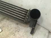 Ladeluftkühler W9450001 Volkswagen Polo V (6R) Schrägheck 1.2 TDI 12V BlueMotion (CFWA(Euro 5)) 2011-03 CFWA(Euro 5)