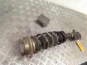 Federbein Rechts Vorne Daihatsu Sirion 2 (M3) Schrägheck 1.3 16V DVVT (K3-VE) 2005-03