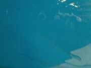 Tür Links Volkswagen Crafter Van 2.0 TDI 16V (CKTB(Euro 5)) 2015-12 CKTB(Euro 5)