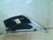 Motorhaube Citro?n Jumper (U9) Van 2.0 Blue HDi 130 (DW10FUD(AHN)) 2019-05 DW10FUD(AHN)