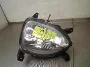 Nebelscheinwerfer Links Vorne 92201c8900 Hyundai i20 (GBB) Schrägheck 1.0 T-GDI 100 12V (G3LC) 2019-06